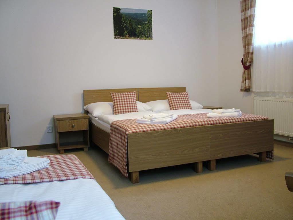 Hotel Seifert Nové Hamry Esterno foto